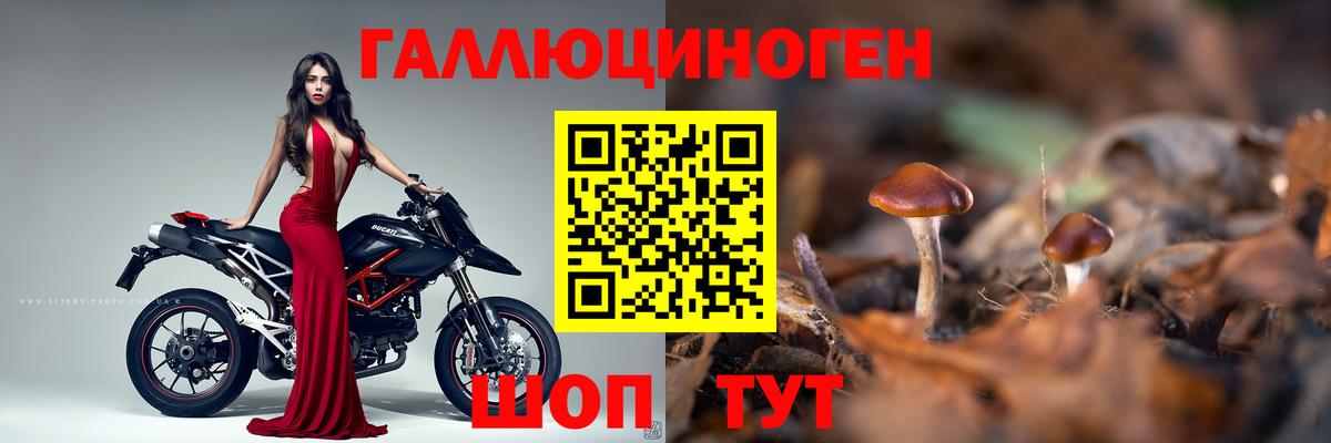 Нижний Новгород  где найти   Вход с VPN  Галлюциногенные грибы мухоморы 